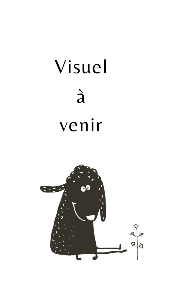 Visuel à venir mouton
